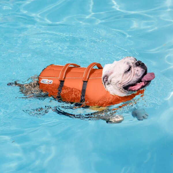 Outward Hound Granby Splash Orange Dog Life Jacket, Large - Image 6