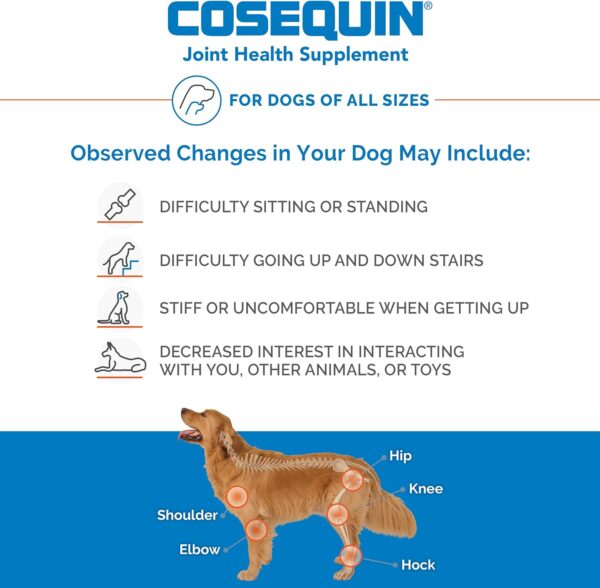 Nutramax Cosequin Maximum Strength Joint Health Supplement for Dogs - With Glucosamine, Chondroitin, and MSM, 60 Chewable Tablets - Image 5