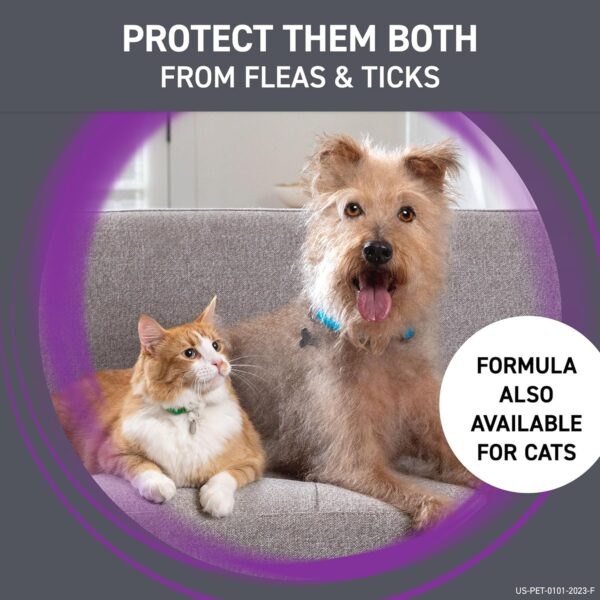 FRONTLINE Plus Flea and Tick Treatment for Medium Dogs Up to 23 to 44 lbs., 3 Treatments - Image 7