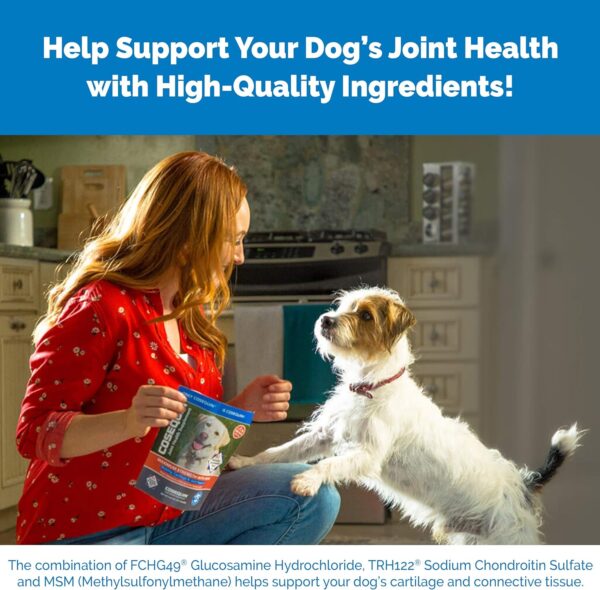 Cosequin Senior Joint Health Supplement for Senior Dogs - With Glucosamine, Chondroitin, Omega-3 for Skin and Coat Health and Beta Glucans for Immune Support, 60 Soft Chews - Image 5