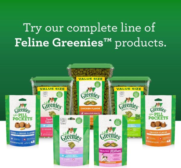 Greenies Feline Smartbites Skin & Fur Crunchy and Soft Natural Cat Treats, Salmon Flavor, 2.1 oz. Pack - Image 10