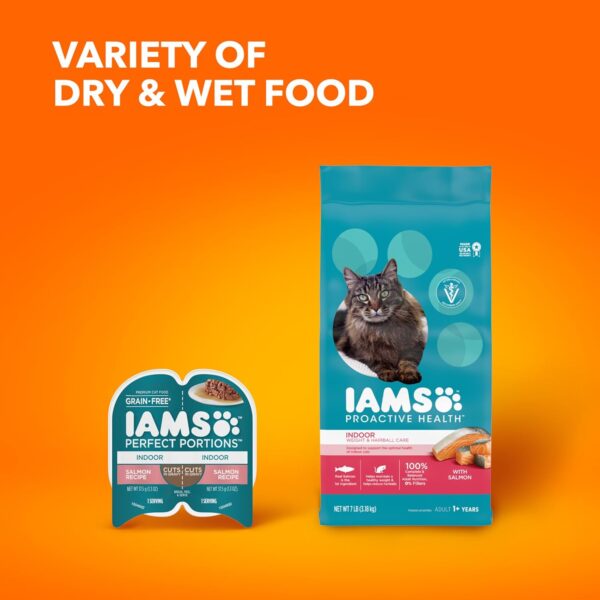 Iams Proactive Health Indoor Weight & Hairball Care Adult Dry Cat Food with Salmon, 16 lb. Bag - Image 10