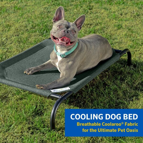 COOLAROO The Original Cooling Elevated Dog Bed, Indoor and Outdoor, Medium, 42"L x 25.5"W x 8"Th, Aquatic Blue - Image 2