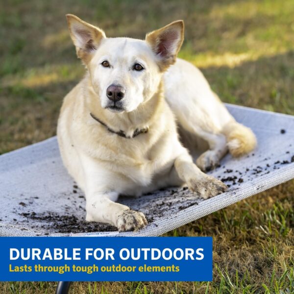 COOLAROO The Original Cooling Elevated Dog Bed, Indoor and Outdoor, Medium, 42"L x 25.5"W x 8"Th, Aquatic Blue - Image 4