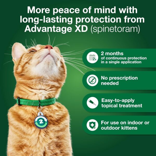 Advantage XD Small Cat Flea Prevention & Treatment For Cats 1.8-9lbs. | 1-Topical Dose, 2-Months of Protection Per Dose - Image 4