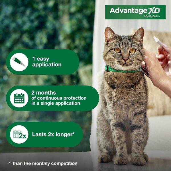 Advantage XD Small Cat Flea Prevention & Treatment For Cats 1.8-9lbs. | 1-Topical Dose, 2-Months of Protection Per Dose - Image 5