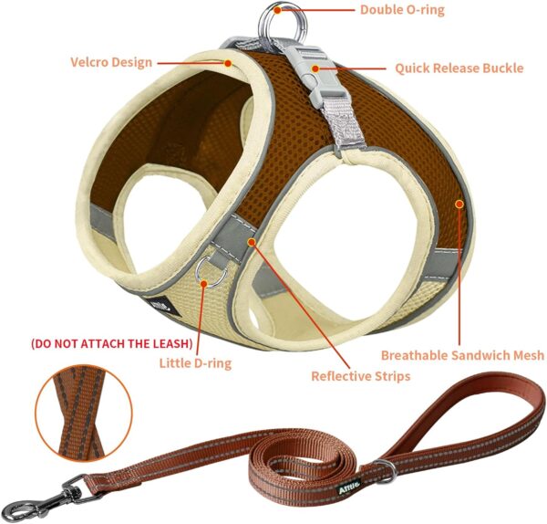 AIITLE No Pull Dog Harness and Leash Set, Step in Adjustable Dog Harness with Padded Vest for All Weather, Dog Leash with Soft Padded Handle, Easy to Put on Small and Medium Dogs Beige S - Image 4