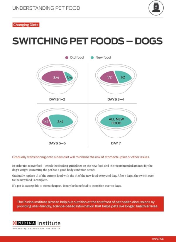 Purina Pro Plan Sensitive Skin and Stomach Dog Food Large Breed Salmon and Rice Formula - 24 lb. Bag - Image 10