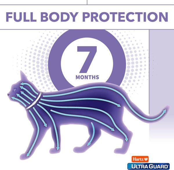 Hartz UltraGuard Purple Flea & Tick Collar for Cats and Kittens - 7 Month Protection - Image 6