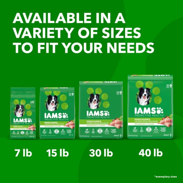 IAMS Adult Minichunks Small Kibble High Protein Dry Dog Food with Real Chicken, 7 lb. Bag - Image 14