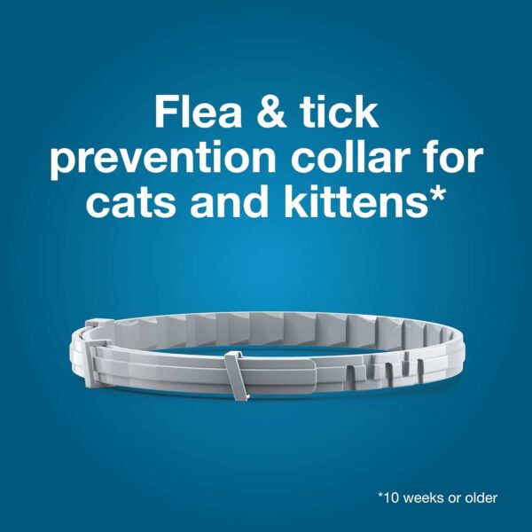 Seresto Cat Vet-Recommended Flea & Tick Treatment & Prevention Collar for Cats, 8 Months Protection | (Pack of 2) - Image 3