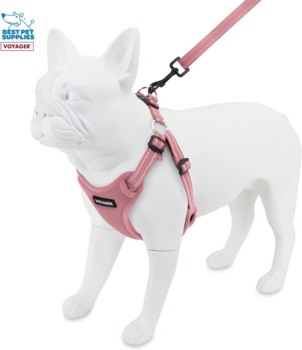 Best Pet Supplies Voyager Adjustable Dog Harness Leash Set with Reflective Stripes for Walking Heavy-Duty Full Body No Pull Vest with Leash D-Ring, Breathable All-Weather - Harness (Pink), S - Image 7