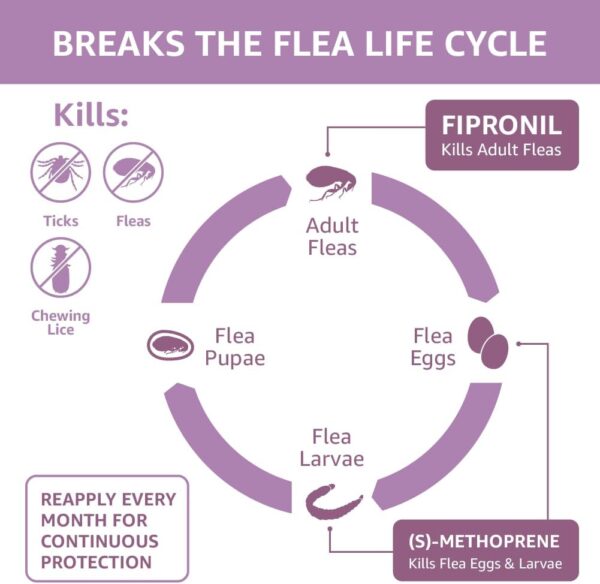 Amazon Basics Flea and Tick Topical Treatment for Large Dogs (45-88 pounds), Unscented, 3 Count (Previously Solimo) - Image 3