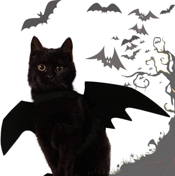 Bat Wings Costume, Small, Black Felt, for Dogs & Cats, Halloween Pet Apparel - Image 3