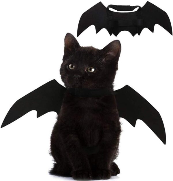 Bat Wings Costume, Small, Black Felt, for Dogs & Cats, Halloween Pet Apparel