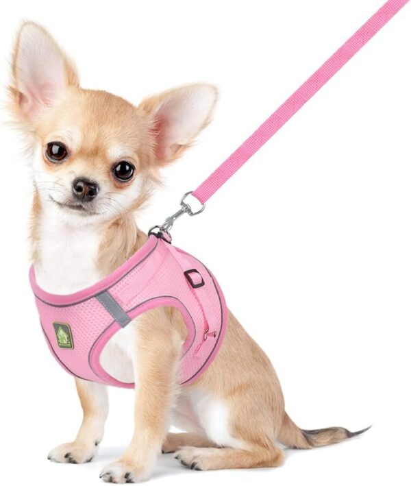 FEimaX Dog Harness and Leash Set, No Pull Soft Mesh Reflective Escape Proof Small Dog Cat Vest Adjustable Pet Outdoor Harnesses for Puppy Kitten Rabbit