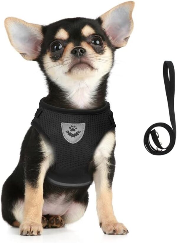 FEimaX Dog Harness and Leash Set for Walking, Soft Mesh Adjustable Easy Control Lightweight Cat Vest Harnesses with Reflective Strips, Escape Proof Small Dogs Cats Vests (Black, X-Small)