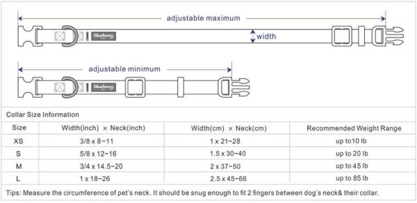 Blueberry Pet Essentials Matching Medium Dog Collar | Adjustable Classic Solid Color Nylon Dog Collars for Medium Dogs | Turquoise Dog Collar for Medium Dogs - Image 2