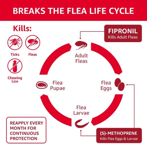 Amazon Basics Flea and Tick Topical Treatment for X-Large Dogs (89-132 pounds), 3 Count (Previously Solimo) - Image 3