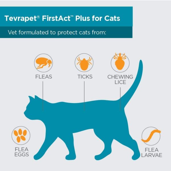 TevraPet FirstAct Plus Flea and Tick Topical for Cats over 1.5lbs, 3 Dose Waterproof Flea and Tick Control/Prevention for 3 Months - Image 3