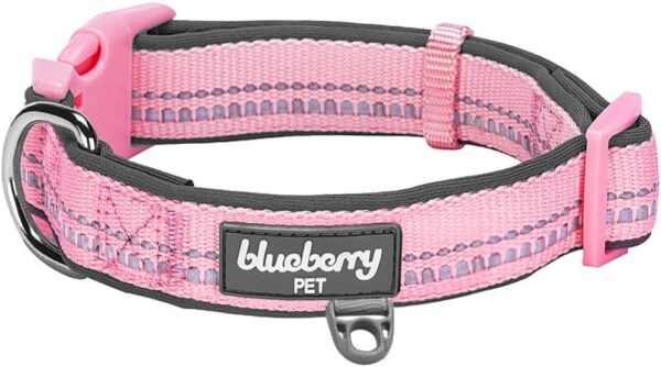 Blueberry Pet Soft & Safe 3M Reflective Neoprene Padded Adjustable Dog Collar - Baby Pink Pastel Color, Small, Neck 12"-16"