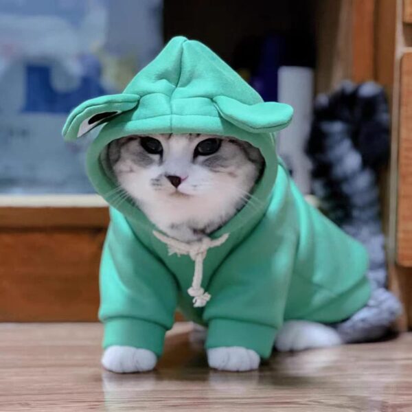 Hoodies Funny Costume for Cat and Puppy Cute Frog Cosplay Clothes for Pets Soft Knitwear (Green Frog, S Pet Weight:3.3~5.5Lbs) - Image 3