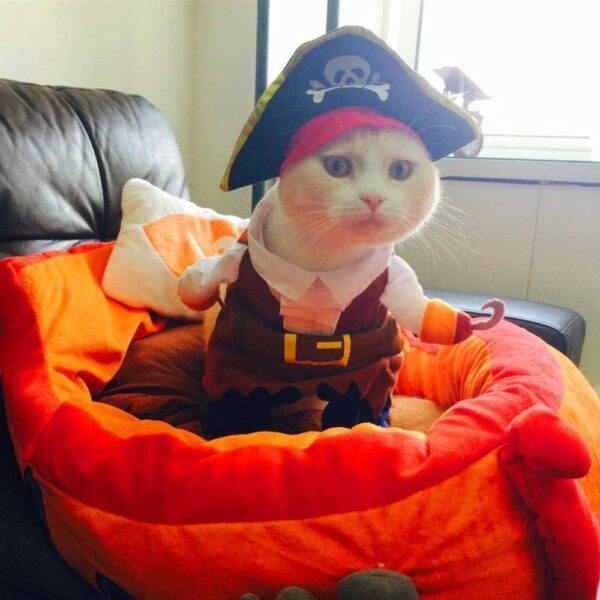 Idepet New Funny Pet Clothes Pirate Dog Cat Costume Suit Corsair Dressing up Party Apparel Clothing for Cat Dog Plus Hat (Medium) - Image 4