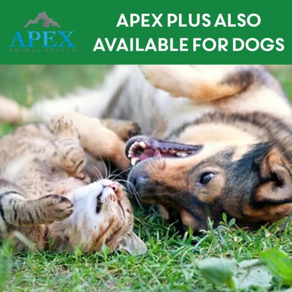 Apex Plus Cat Flea and Tick Treatment | 6-Month Supply, Over 1.5 lbs | Flea Treatment for Cats | 24-Hour Activation, Waterproof, 30-Day Protection - Image 9