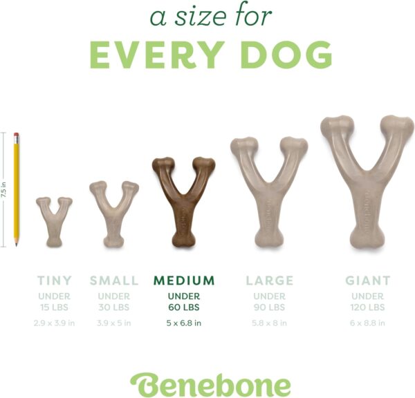 Benebone Wishbone Durable Dog Chew Toy for Aggressive Chewers, Real Bacon, Made in USA, Medium - Image 4