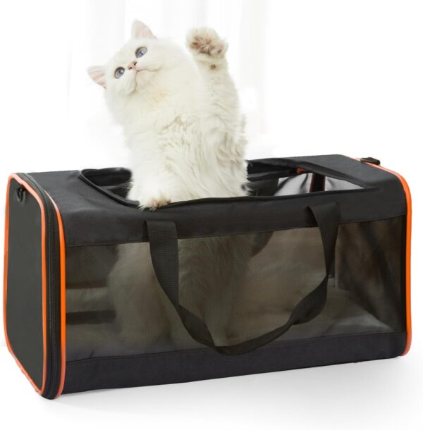 Pet Carrier Soft-Sided for Large Cats and Medium Dogs up to 20 Lbs 21 x 11 x 11 inches