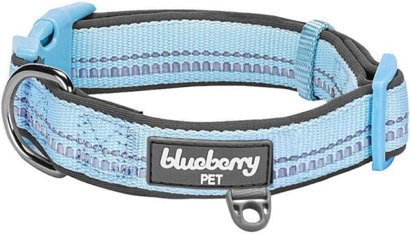 Blueberry Pet Soft & Safe 3M Reflective Neoprene Padded Adjustable Dog Collar - Baby Blue Pastel Color, Medium, Neck 14.5"-20"