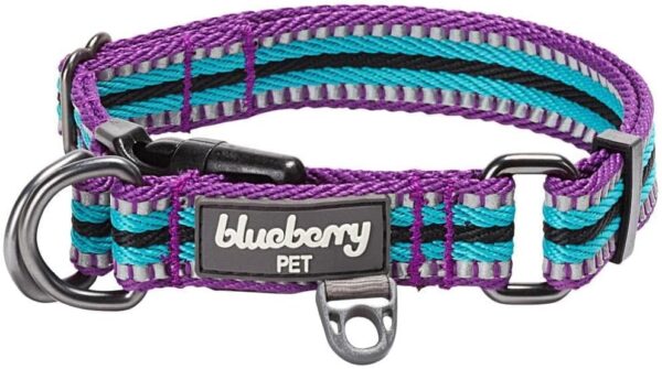 Blueberry Pet 3M Reflective Dog Collars | Adjustable Dog Collar w/Multi-Colored Stripe - Violet and River Blue | Nylon Pet Collars for Dogs & Refflective Dog Collar for Large Dogs