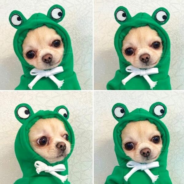 XIAOYU Pet Clothes Dog Hoodies Warm Sweatshirt Coat Puppy Autumn Winter Apparel Jumpsuit with Eye Hood, Frog, M - Image 7