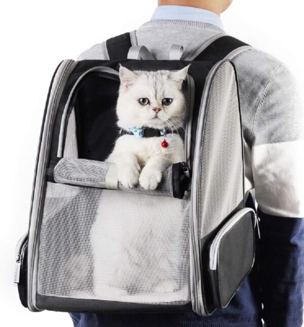 Texsens Innovative Traveler Bubble Backpack Pet Carriers for Cats and Dogs (Black) - Image 5