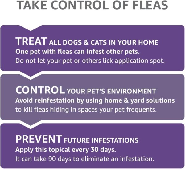 Amazon Basics Flea Topical for Large Cats (over 9 pounds), 4 Count (Previously Solimo) - Image 6