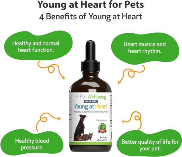 Pet Wellbeing Young at Heart for Dogs & Cats - Vet-Formulated - Supports Cardiovascular (Heart & Circulatory) Health - Natural Herbal Supplement 4 oz (118 ml) - Image 3