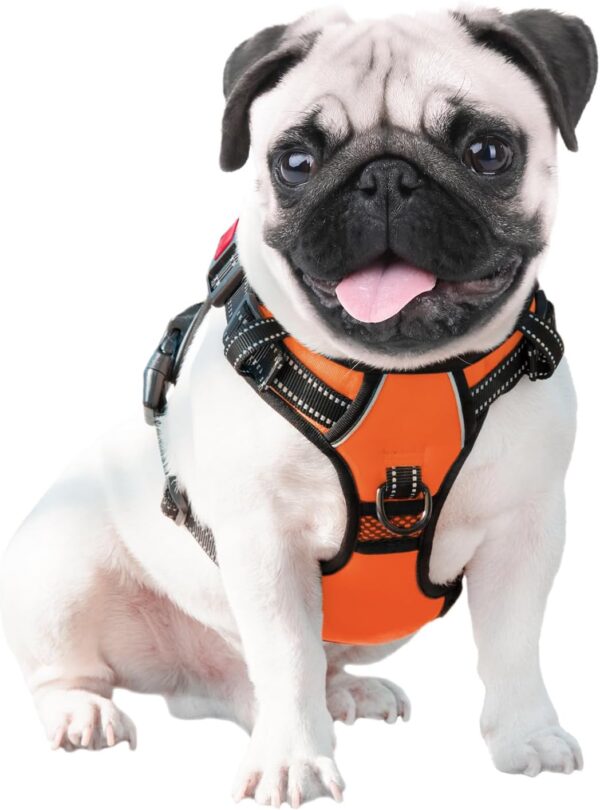 PHOEPET No Pull Dog Harness Medium Reflective Front Clip Vest with Handle,Adjustable 2 Metal Rings 3 Buckles,[Easy to Put on & Take Off](M, Orange) - Image 7