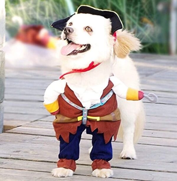 Idepet New Funny Pet Clothes Pirate Dog Cat Costume Suit Corsair Dressing up Party Apparel Clothing for Cat Dog Plus Hat (Medium) - Image 6