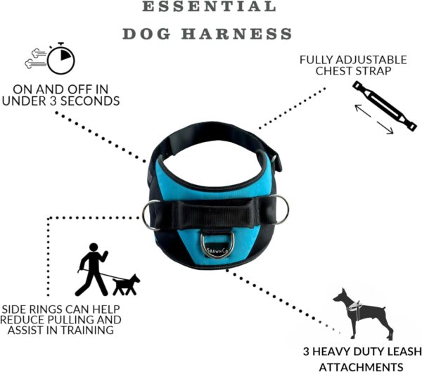 ShawnCo Essential Dog Harness, No-Pull Pet Vest with 3 Leash Clips, No Choke, Reflective, Adjustable and Padded, for Easy Walking and Training for Small, Medium and Large Dogs (Oceanic Blue, S) - Image 4