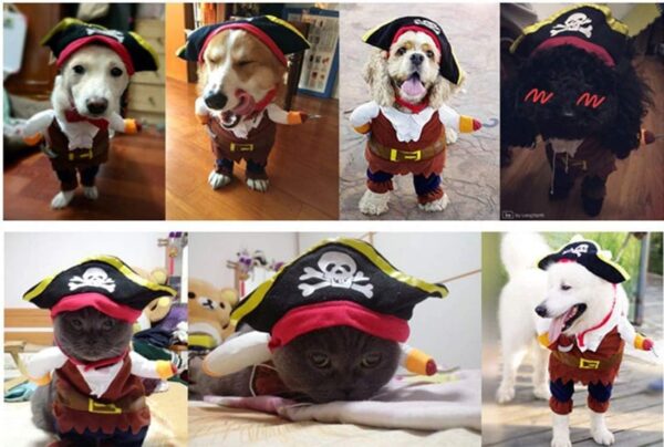 Idepet New Funny Pet Clothes Pirate Dog Cat Costume Suit Corsair Dressing up Party Apparel Clothing for Cat Dog Plus Hat (Medium) - Image 5