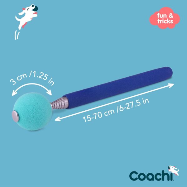 Company of Animals Coachi Target Stick, Telescopic Design with Large Ball for Target, Dog Accessory for Clicker & Agility Training, Teach Commands and Tricks - Image 4