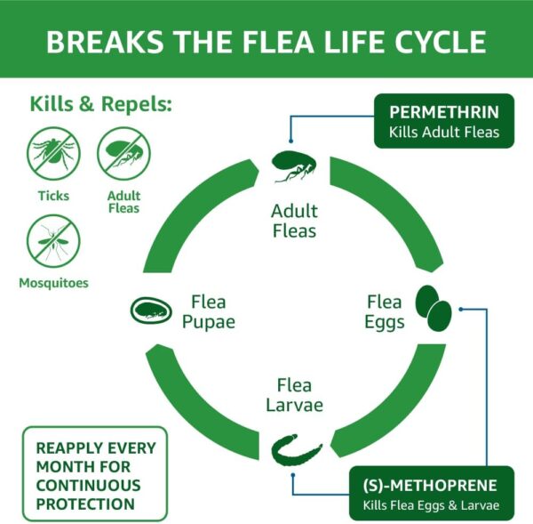 Amazon Basics Flea and Tick Topical Treatment for Cats (over 1.5 lbs), 6 Count (Previously Solimo) - Image 3