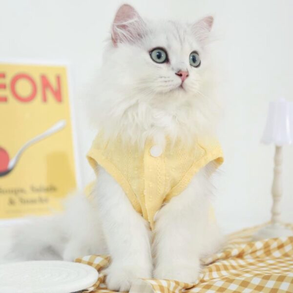 Cute Cat Apparel Breathable Adorable Kitten T-Shirt No Sleeves Relief All Season Cats Clothes for Cats Only Female Cat Clothes for Kitten (Medium, Yellow) - Image 2