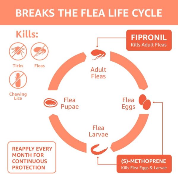 Amazon Basics Flea and Tick Topical Treatment for Small Dogs (5 -22 pounds), Unscented, 6 Count (Previously Solimo) - Image 4