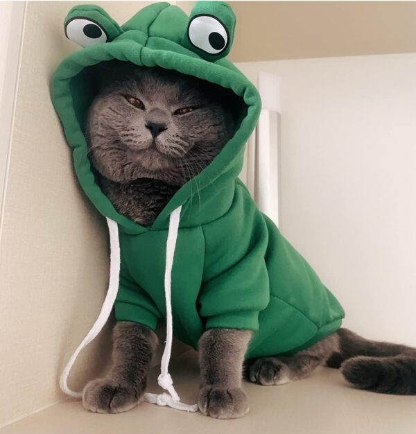 XIAOYU Pet Clothes Dog Hoodies Warm Sweatshirt Coat Puppy Autumn Winter Apparel Jumpsuit with Eye Hood, Frog, M - Image 2