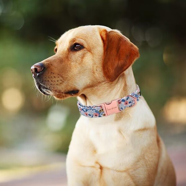 Unique style paws Dog Collar Metal Buckle Collar Gift for Small Medium Large Boys Girls Dogs - Image 3