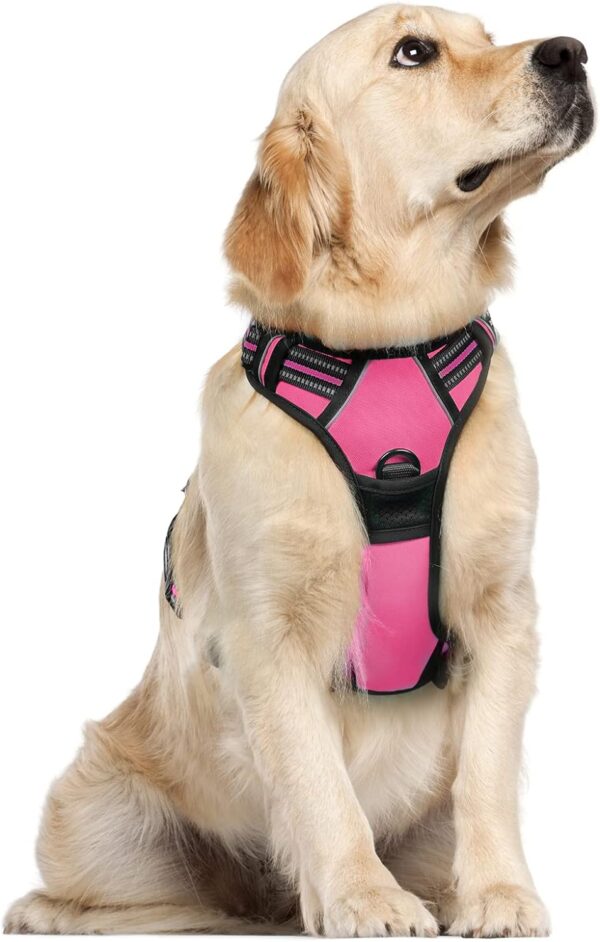 rabbitgoo Dog Harness, No-Pull Pet Harness with 2 Leash Clips, Adjustable Soft Padded Dog Vest, Reflective No-Choke Pet Oxford Vest with Easy Control Handle for Large Dogs, Hot Pink, L