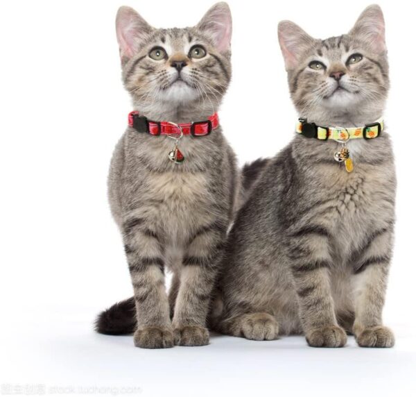 Cat Collars Breakaway with Bell - 4 Pack Cat Safety Collars for Boys & Girls - Safety Buckle Kitten Collar for Pet Supplies,Stuff,Accessories - Image 7