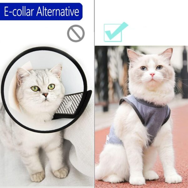 Cat Surgery Recovery Suit Cat Onesie for Cats After Surgery Spay Surgical Abdominal Wound Skin Diseases E-Collar Alternative Wear (Grey-Blue-M) - Image 6