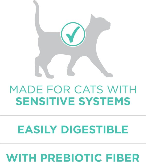 Purina ONE Sensitive Stomach, Sensitive Skin, Natural Dry Cat Food, +Plus Sensitive Skin and Stomach Formula - 16 lb. Bag - Image 3